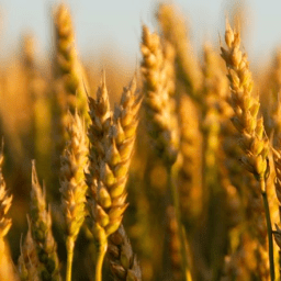 Remember Why the Sabbath (and the Law) Matters